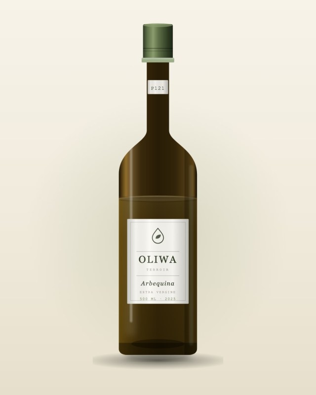 Arbequina P-121